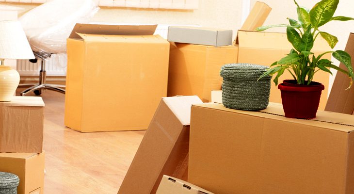 Annexx, votre spécialiste dans la location de box de stockage et de matériel de déménagement !